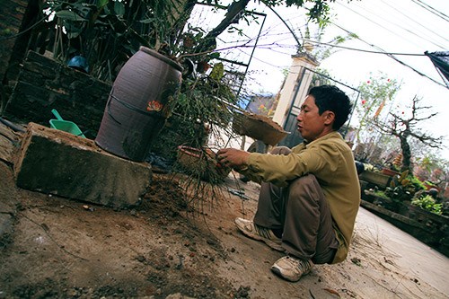 Ngắm[-]mai[-]trắng[-]giá[-]tiền[-]triệu[-]giữa[-]Thủ[-]đô[-]Hà[-]Nội